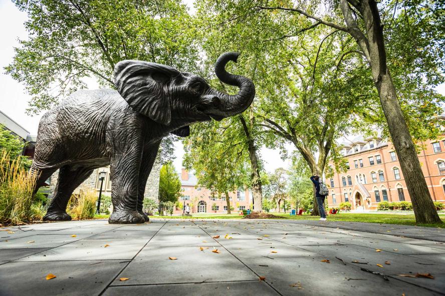 Jumbo the Elephant statue on the Academic Quad at Tufts University
